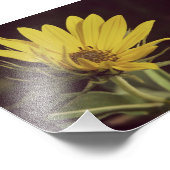 Wildblume Fotodruck (Ecke)