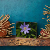 Wildblume Fotoplatte (Seite)