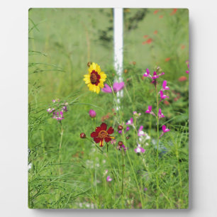 Wildblume Fotoplatte