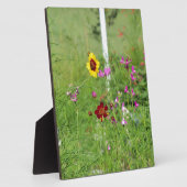 Wildblume Fotoplatte (Seite)