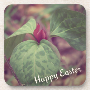 Wildblume Frohe Ostern Untersetzer