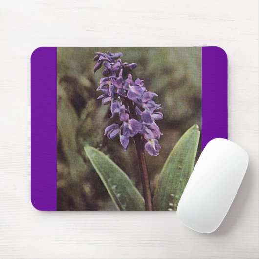 Wildblume: Frühe Lila Orchideen Mousepad (Mit Mouse)