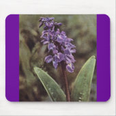 Wildblume: Frühe Lila Orchideen Mousepad (Vorne)