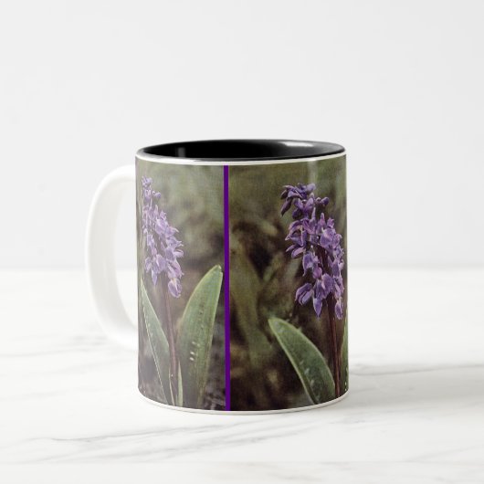 Wildblume: Frühe Lila Orchideen Zweifarbige Tasse (Vorderseite Links)