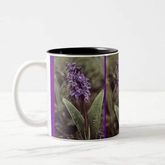 Wildblume: Frühe Lila Orchideen Zweifarbige Tasse (Links)