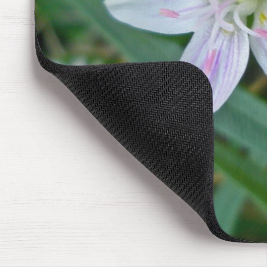 Wildblume für die Frühlingsbeauty Mousepad (Ecke)