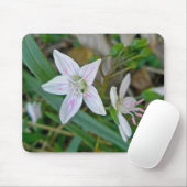 Wildblume für die Frühlingsbeauty Mousepad (Mit Mouse)