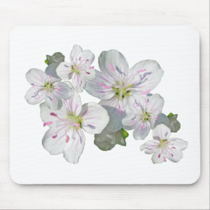 Wildblume für die Frühlingsbeauty Mousepad