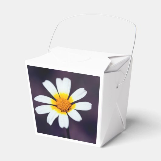 Wildblume Geschenkschachtel (Vorderseite)