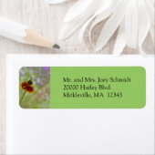 Wildblume-Grüne Rücksendeadresse (Insitu)