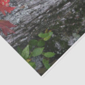 Wildblume Happy Birthday Seidenpapier (Ausschnitt)