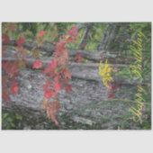 Wildblume Happy Birthday Seidenpapier (Vorderseite)