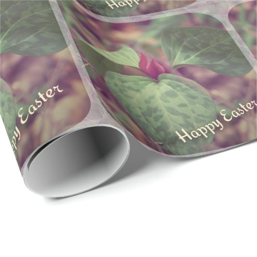 Wildblume Happy Oaster Geschenkpapier (Rolleneckpunkt)