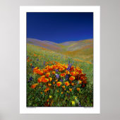 Wildblume Hills Poster (Vorne)