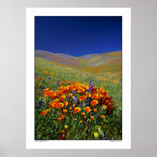 Wildblume Hills Poster
