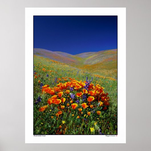 Wildblume Hills Poster (Vorne)