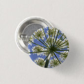 Wildblume Hogsweed Blume Button / Abzeichen (Vorne & Hinten)