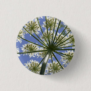 Wildblume Hogsweed Blume Button / Abzeichen
