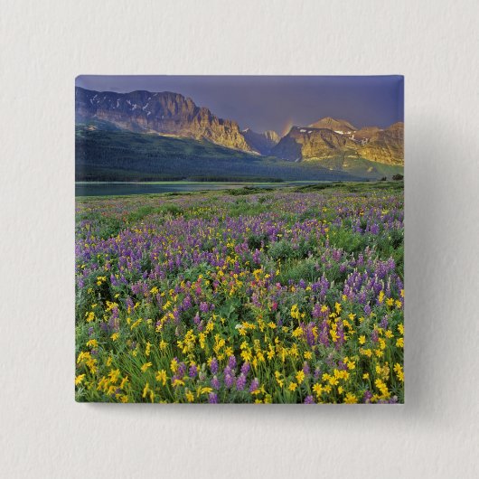 Wildblume im Gletscher Viele Button (Vorderseite)