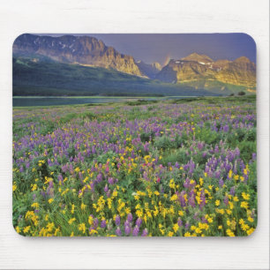 Wildblume im Gletscher Viele Mousepad
