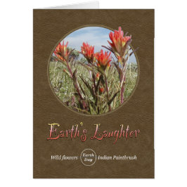 Wildblume Indianerpinsel