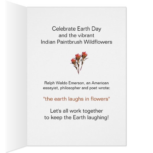 Wildblume Indianerpinsel (Innen (Rechts))