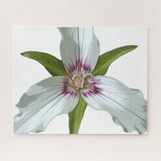 Wildblume Jigsaw Puzzle von Trillium Spring (Horizontal)