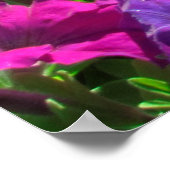 WILDBLUME JOHN 3:16 FOTO POSTER (Ecke)