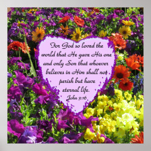 WILDBLUME JOHN 3:16 FOTO POSTER