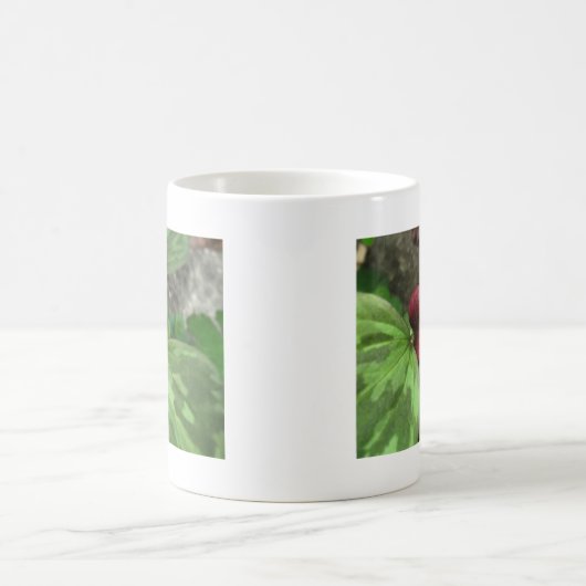 Wildblume Kaffeetasse (Mittel)