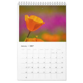 Wildblume Kalender (Jan 2027)
