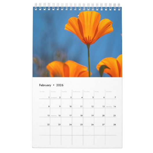 Wildblume Kalender (Feb 2026)
