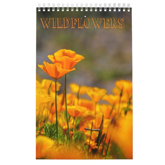 Wildblume Kalender (Titelbild)