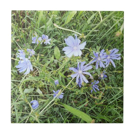 Wildblume Keramik Tile Fliese (Vorderseite)