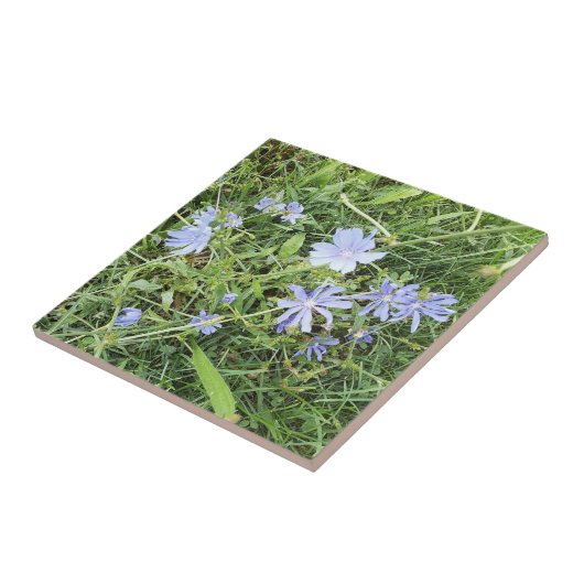 Wildblume Keramik Tile Fliese (Seite)