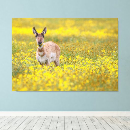 Wildblume Leinwanddruck (Insitu (Holzboden))