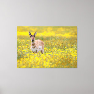 Wildblume Leinwanddruck