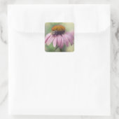 Wildblume - Lila Blüte / Echinacea Quadratischer Aufkleber (Tasche)