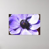 Wildblume Lilac Blue Anemone Leinwanddruck (Vorderseite)