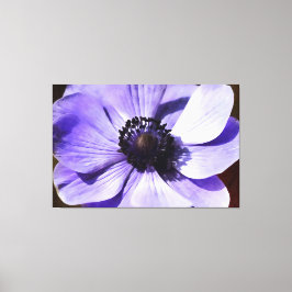 Wildblume Lilac Blue Anemone Leinwanddruck