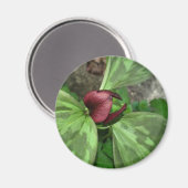 Wildblume Magnet (Vorderseite/Rückseite)
