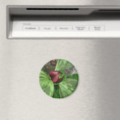 Wildblume Magnet (In Situ (Geschirrspüler))