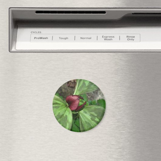 Wildblume Magnet (In Situ (Geschirrspüler))