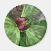 Wildblume Magnet (Vorne)