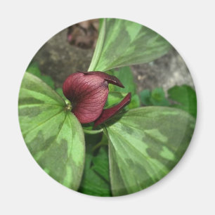Wildblume Magnet