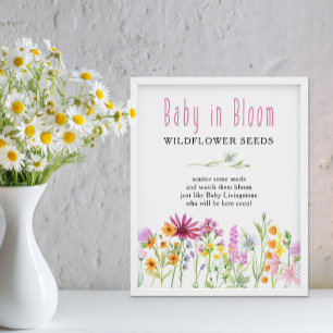 Wildblume Meadow Baby in Bloom Blume Samen Gutes Poster