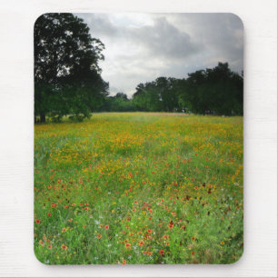 Wildblume Meadow - Butler Trail - Austin Texas Mousepad
