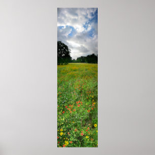 Wildblume Meadow - Butler Trail - Austin Texas Poster