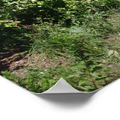 Wildblume Meadow Poster (Ecke)