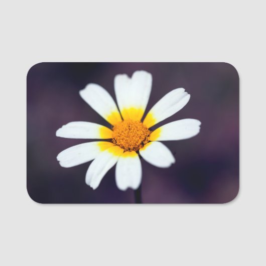 Wildblume Namensschild (Vorderseite)